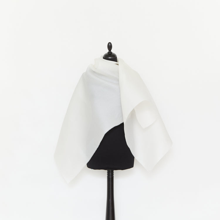T25M14354 | Silk Gazar - view 2
