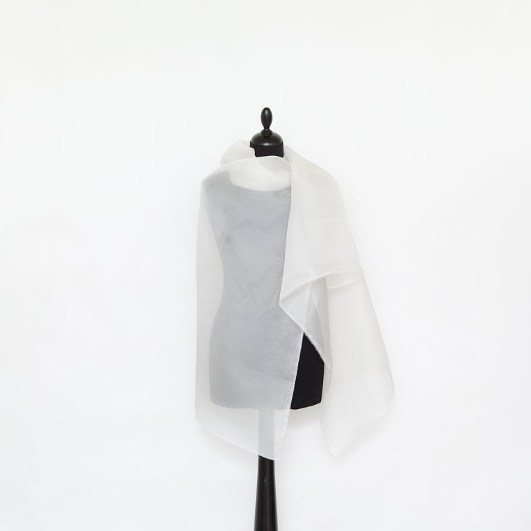 T25M14356 | Organza en Soie - vue 2