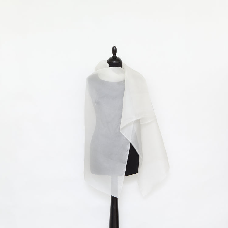 T25M14356 | Organza en Soie - vue 2