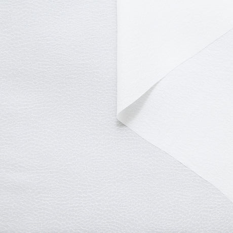 T25M14359 | Fluid Silk Jacquard