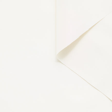 T25M14366 | Faille de Soie