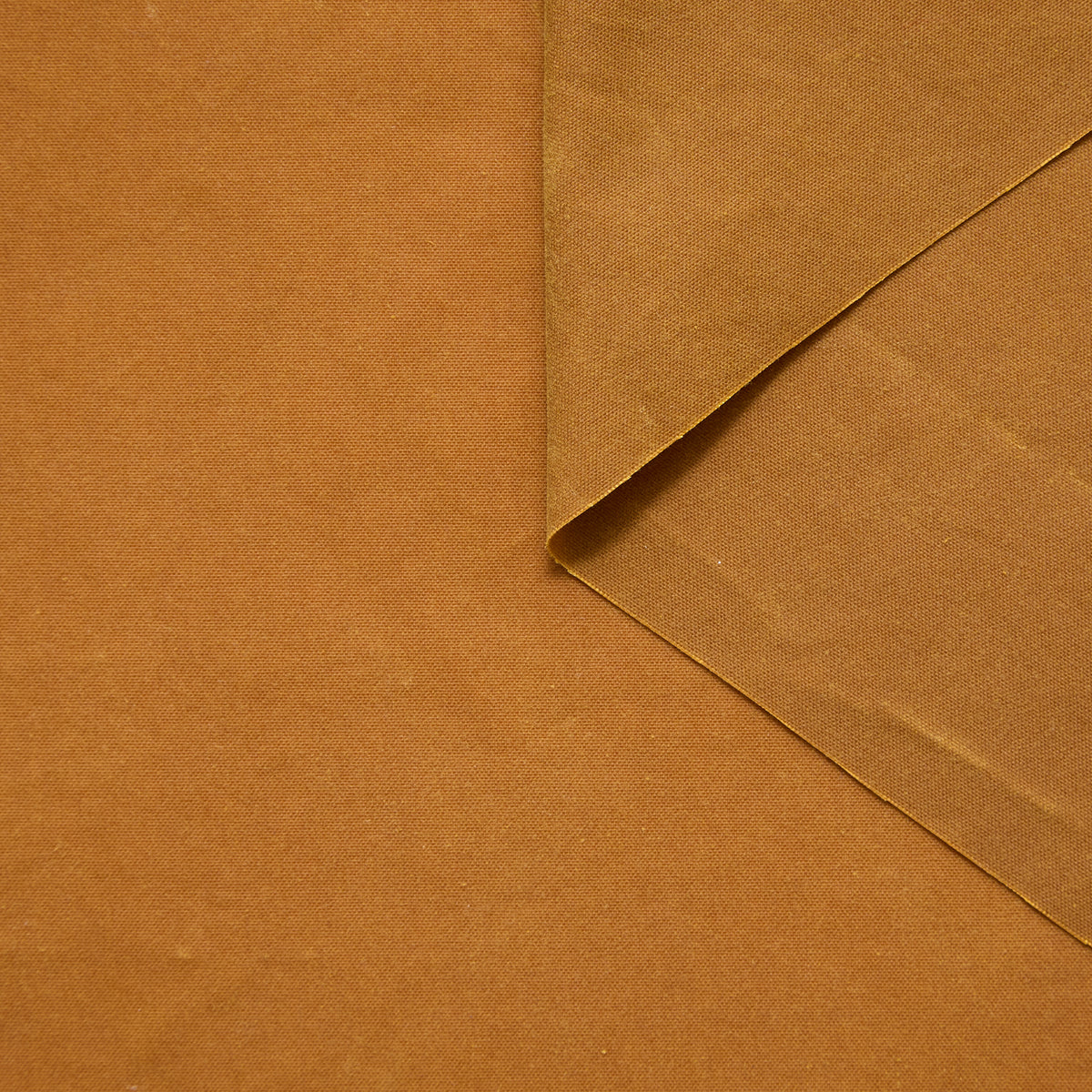 T25V13911 | Toile Waxée en Coton