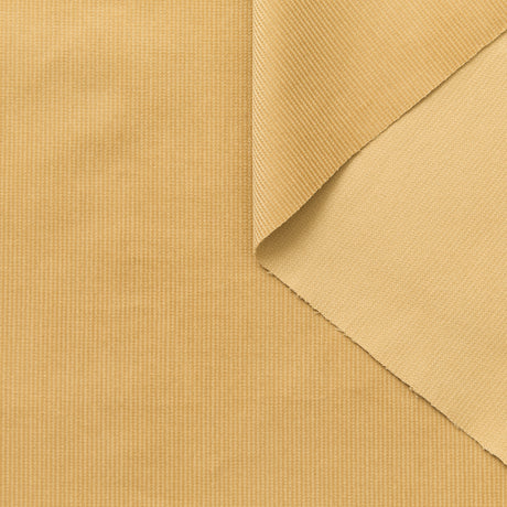 T25W12883 | Velours Corduroy de Coton