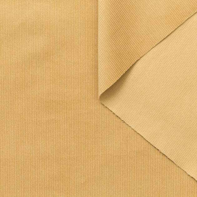 T25W12883 | Velours Corduroy de Coton