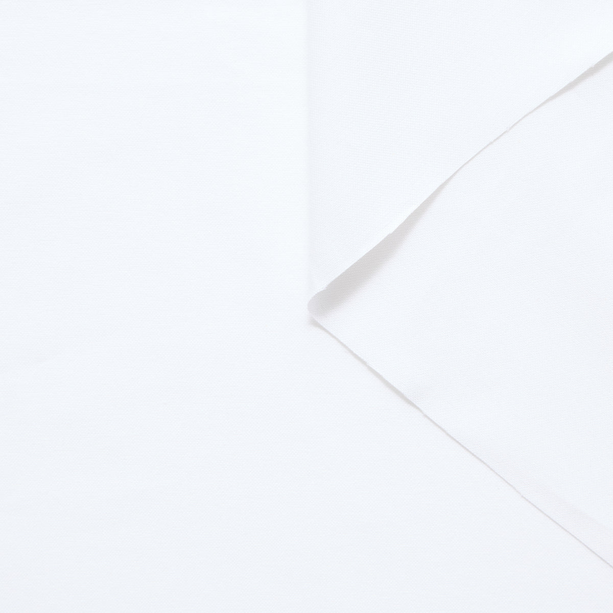 T25W14000 | Oxford de Coton