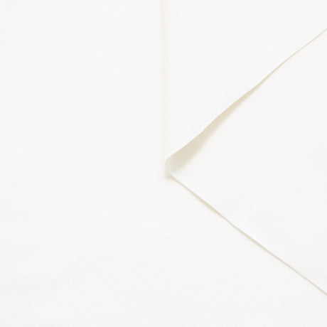 T25W14020 | Velours Corduroy de Coton