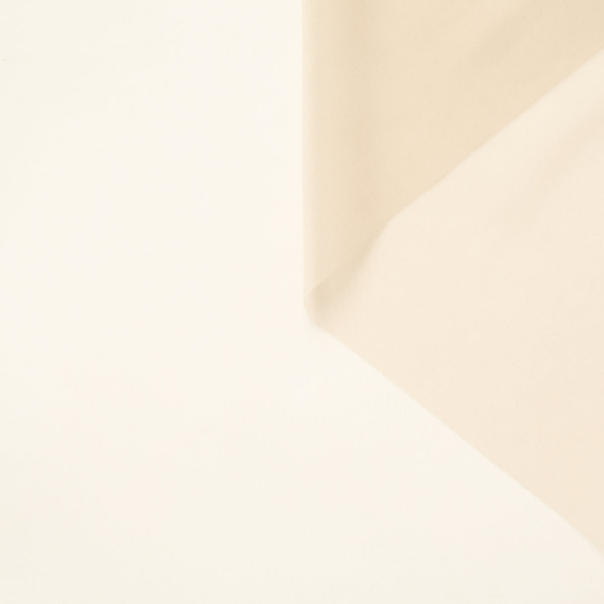 T26C14972 | Jersey Transparent