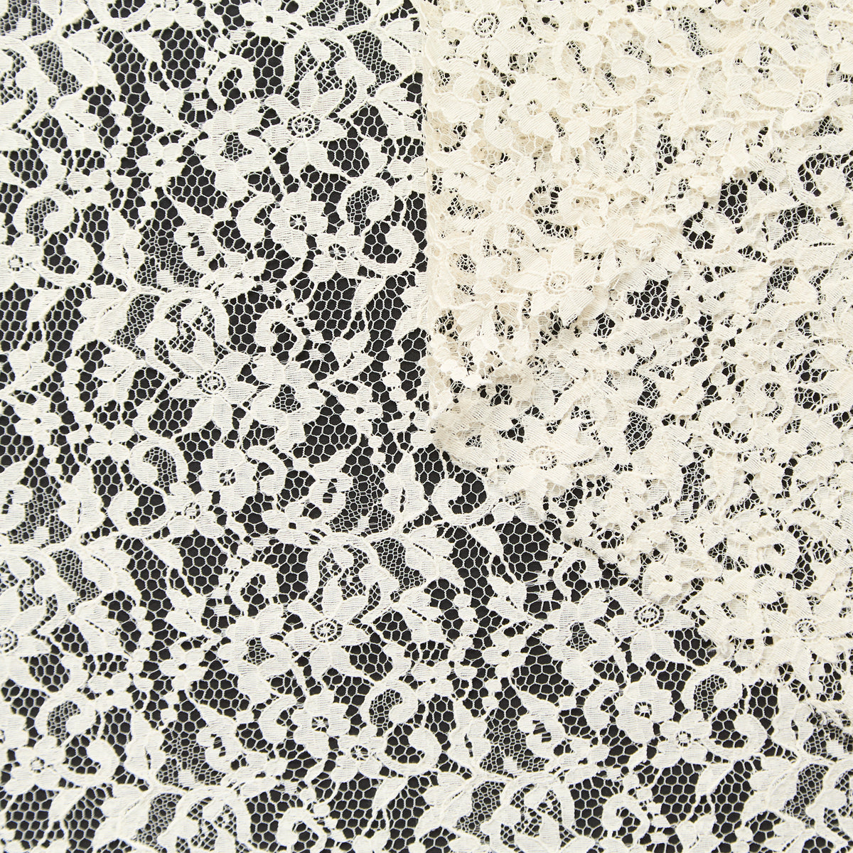 T26C15069 | Dentelle Florale en Coton GOTS