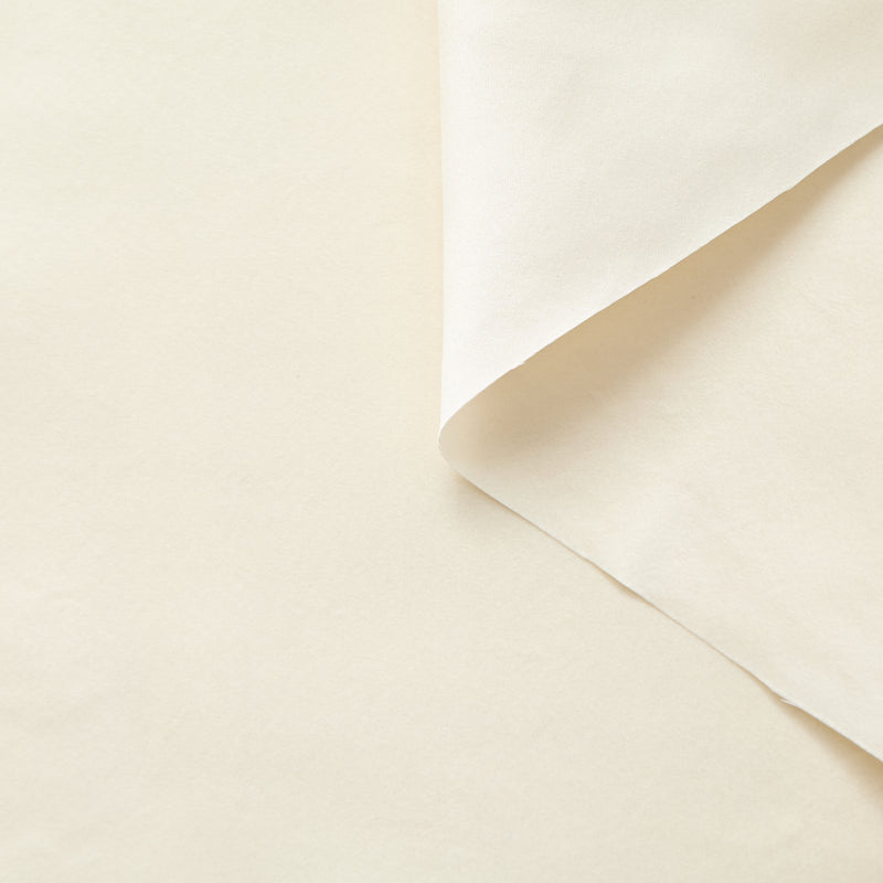T26C15086 | Satin Duchesse en Soie Lavé GOTS