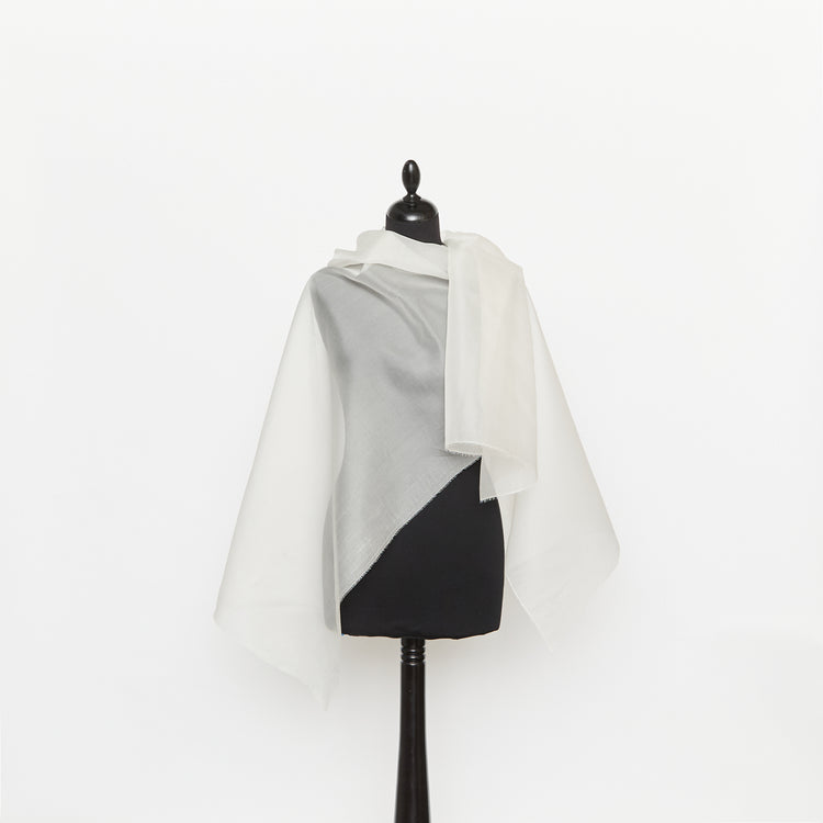 T26C15100 | Organza en Soie - vue 2