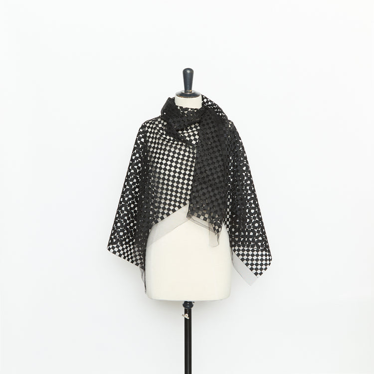 T26K16153 | Checked Embroidered Tulle - view 2
