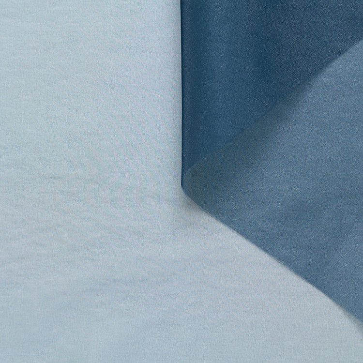 T26K16903 | Shiny Organza - view 1