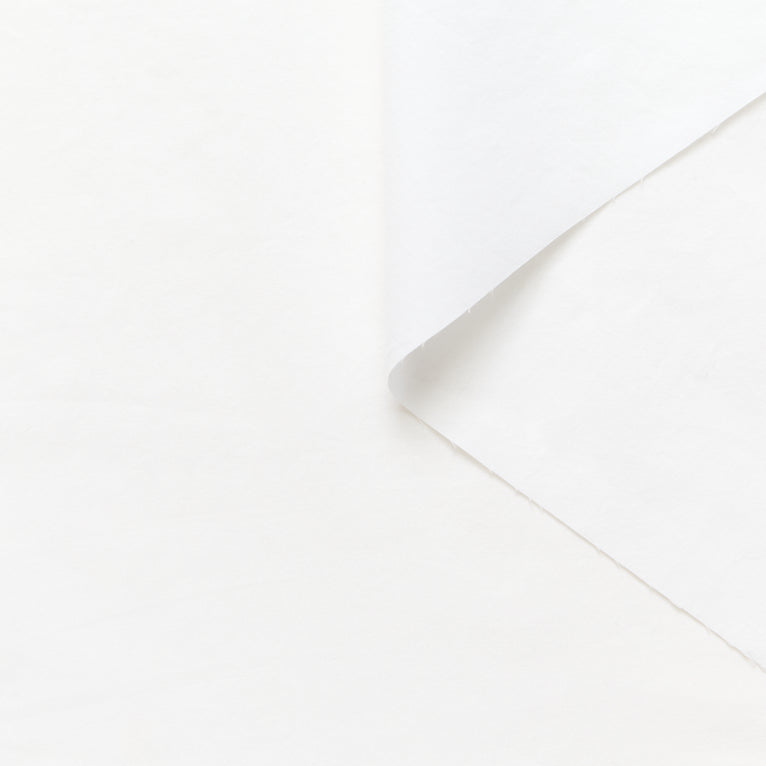 T26K16919 | Cotton Poplin - view 1