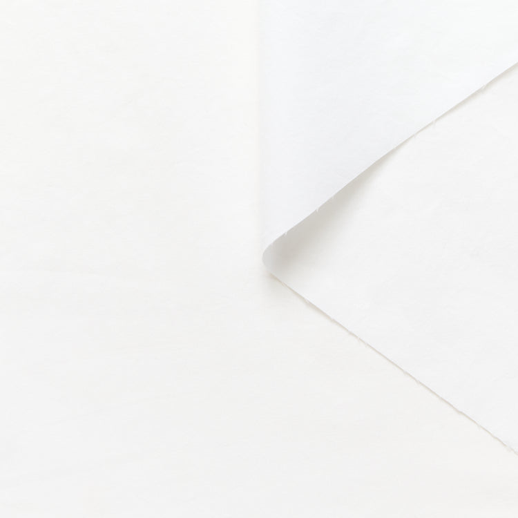 T26K16919 | Cotton Poplin - view 1
