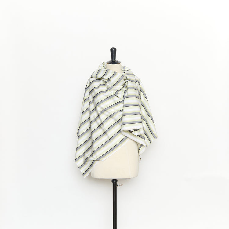 T26L16242 | Fil a Fil Striped Cotton Poplin - vue 2
