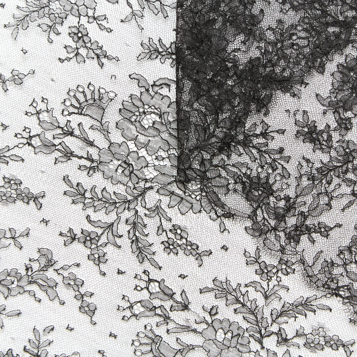 T26M14882 | Floral Lace