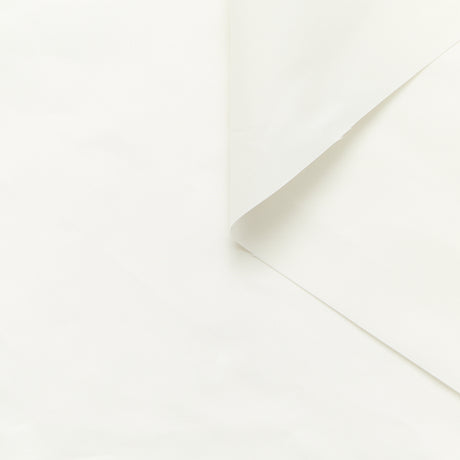  Cotton & Silk Poplin