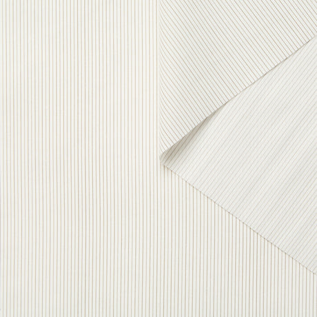 T26M15326 | Striped Cotton Poplin