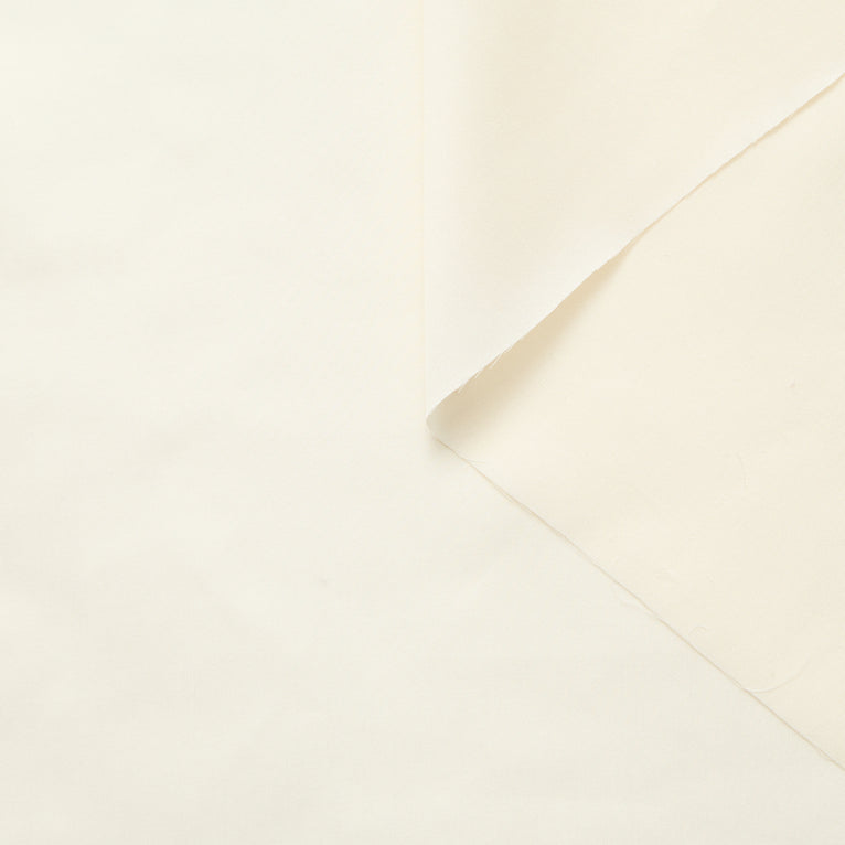 T26M15405 | Cotton Batiste - vue 1