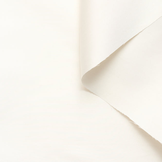 T26M15423 | Wild Silk Mikado