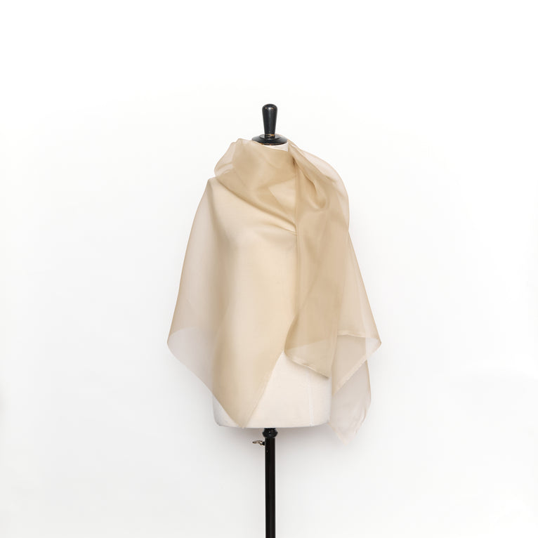 T26M15446 | Silk Satin Organza - view 3