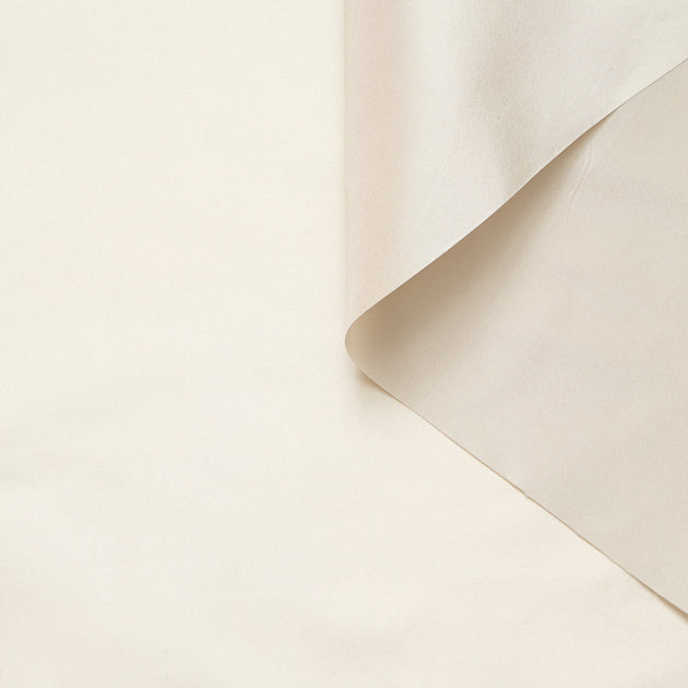 T26M15578 | Silk Taffeta