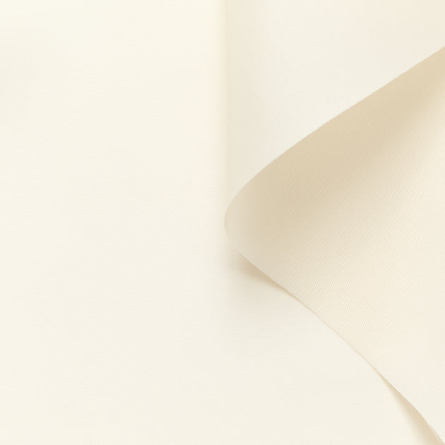 T26M15582 | Stiff Silk Gazar