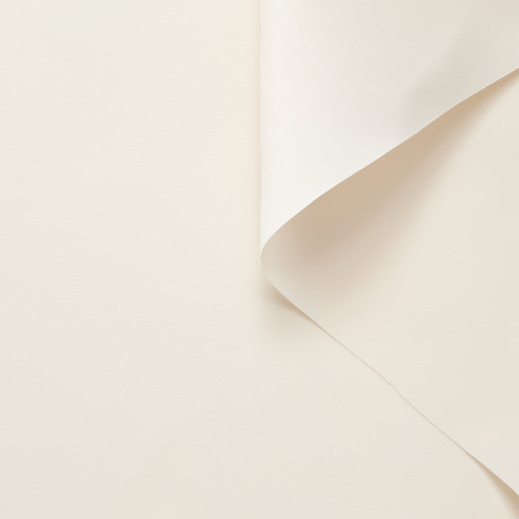 T26M15591 | Satin Organza Double Face en Soie - vue 1