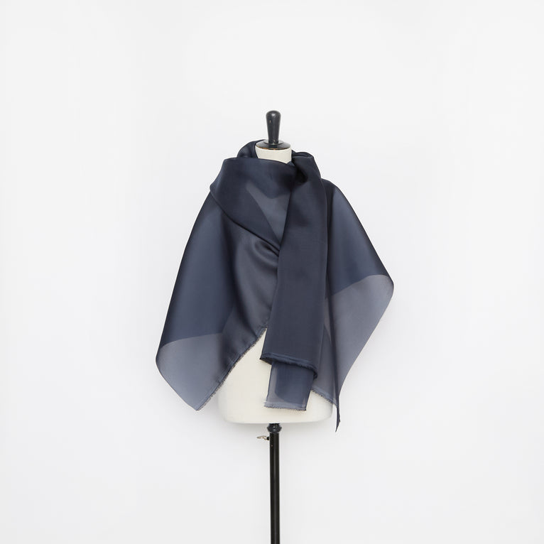 T26M15629 | Organza en Soie - vue 3