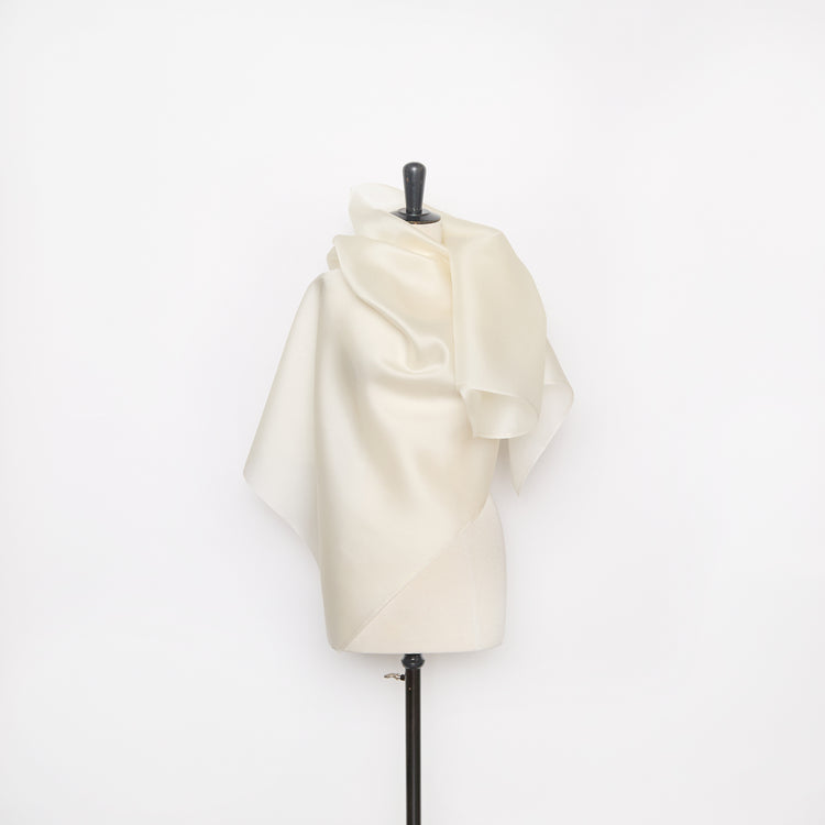 T26M15697 | Silk Satin Organza - view 2