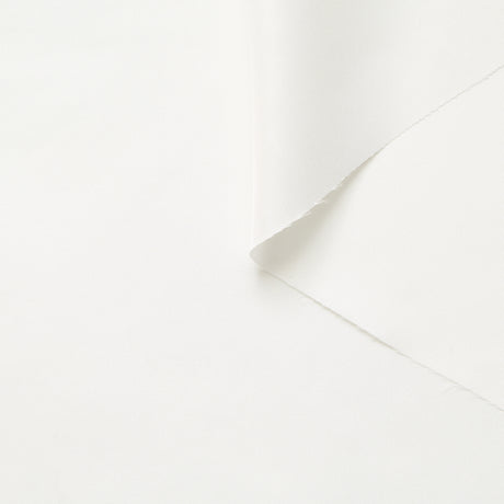 T26V14943 | Twill Prêt à Teindre en Soie 