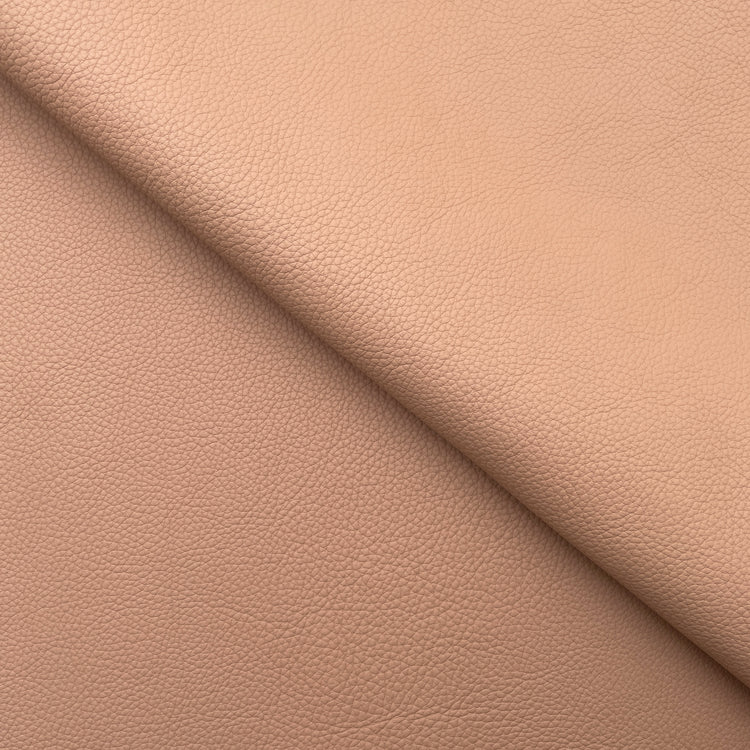 C22B00018 | Large grain young bull leather - view 1