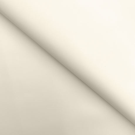 C22K00017 | Cuir de Veau Lisse