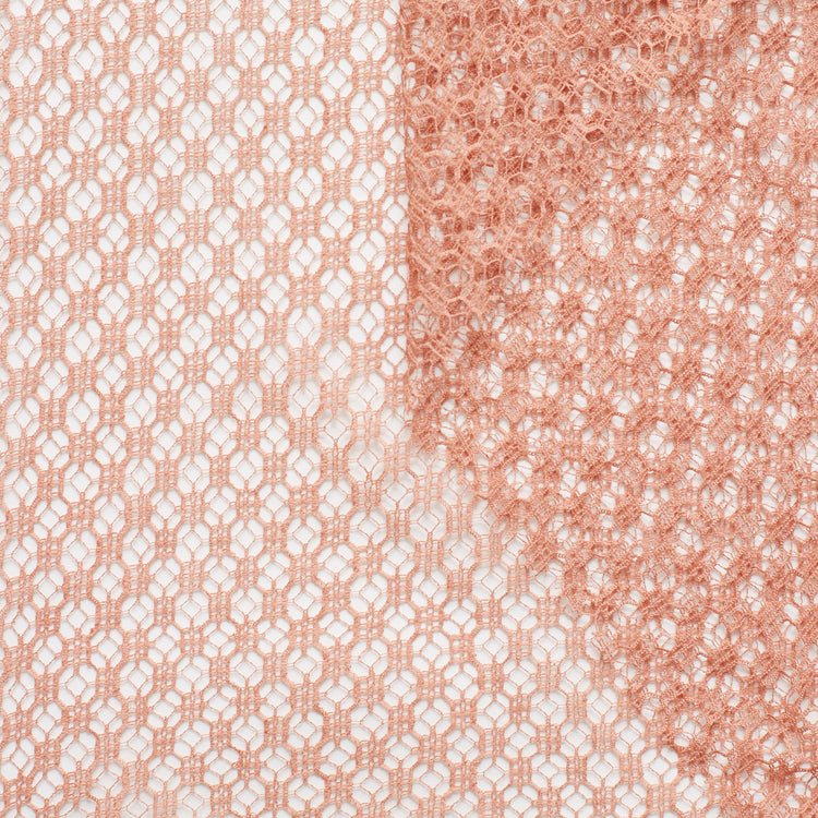 D21C00009 | Fine Geometric Cotton Allover Lace - view 1