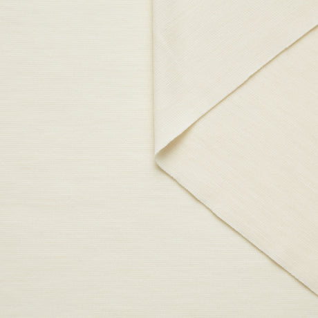 M20A00030 | Heavy Wool Jersey