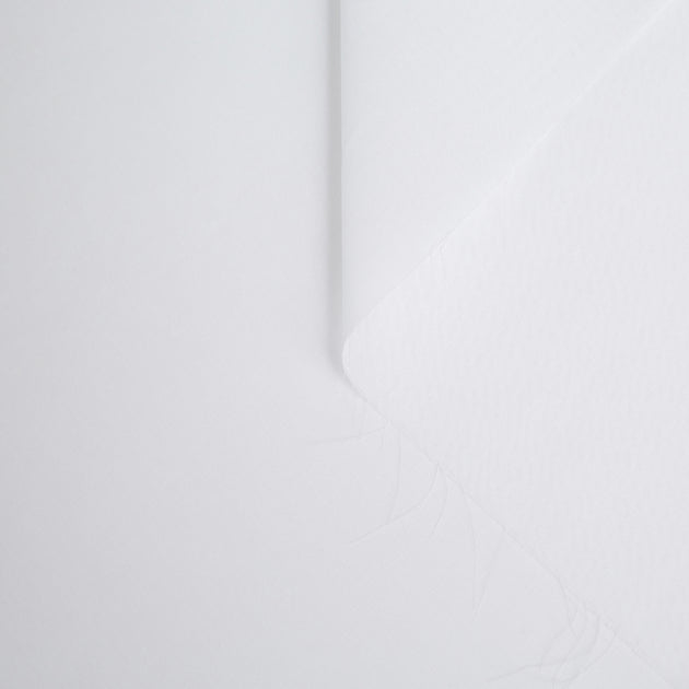 t20a00056 | Batiste de Coton