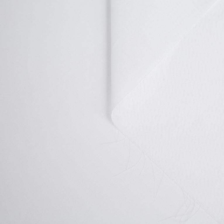 t20a00056 | Batiste de Coton - vue 1