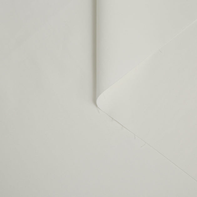 T20A00057 | WR Cotton