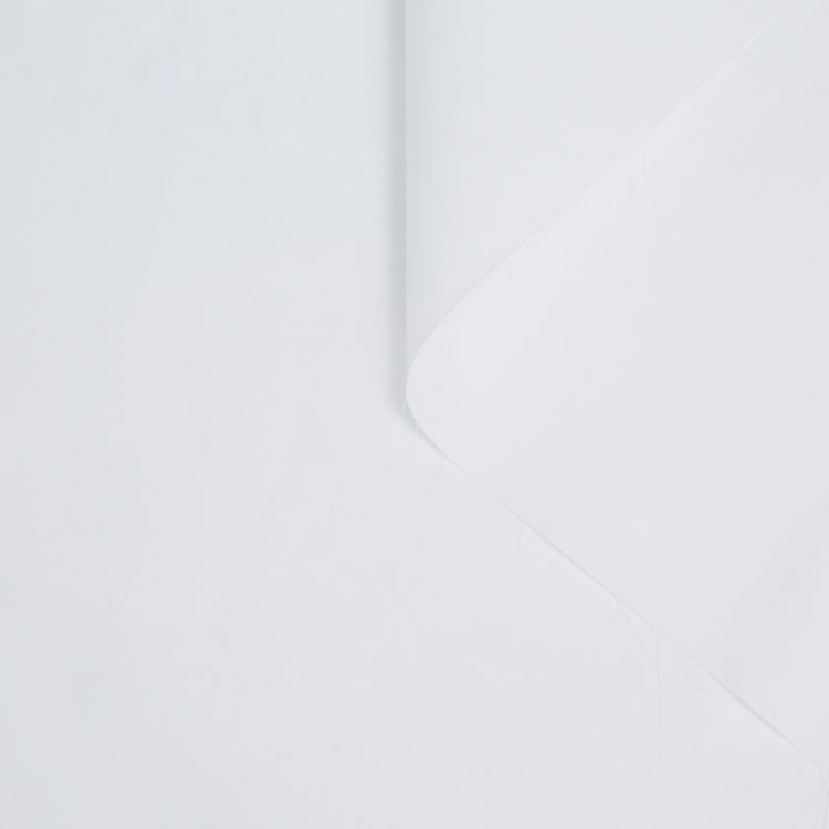 T20A00068 | Washed Compact Cotton Poplin - view 1