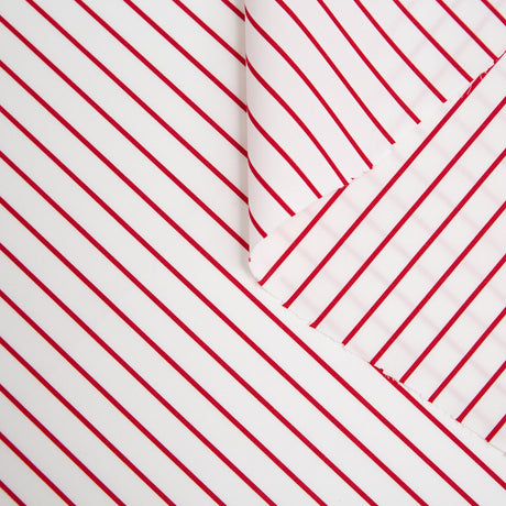T20A00142 | Stripe Cotton Poplin