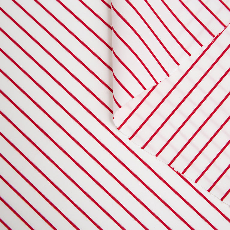 T20A00142 | Stripe Cotton Poplin - view 1