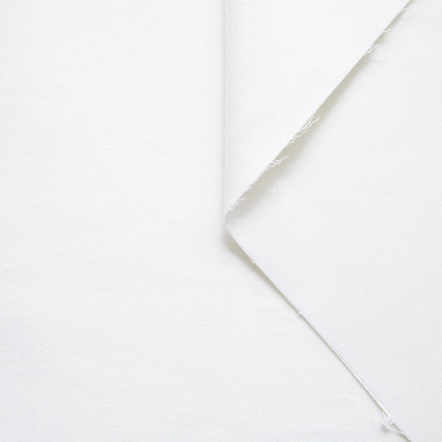 T20A00184 | Cotton Moleskine