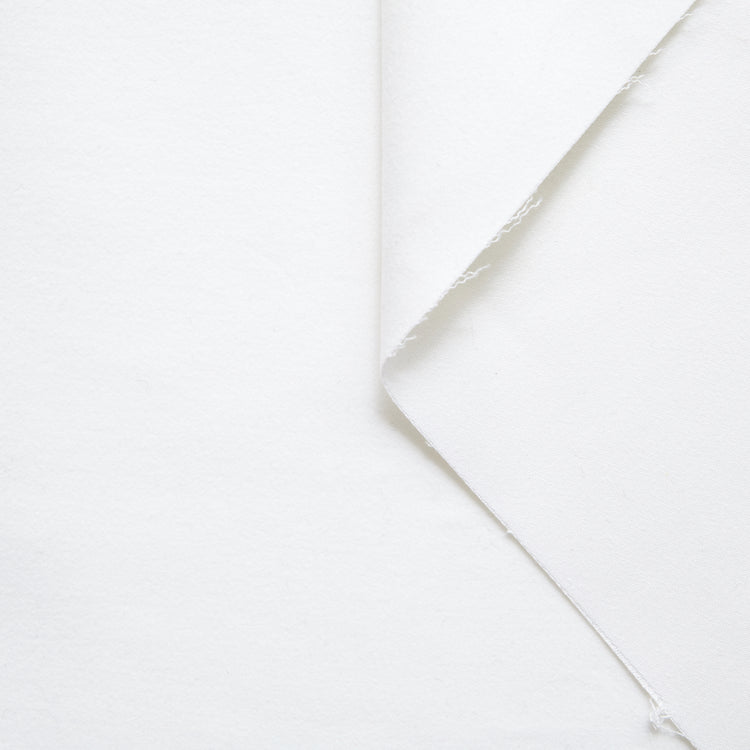 t20a00184 | Moleskine de Coton - vue 1