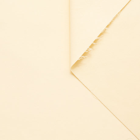 t20a00184 | Moleskine de Coton