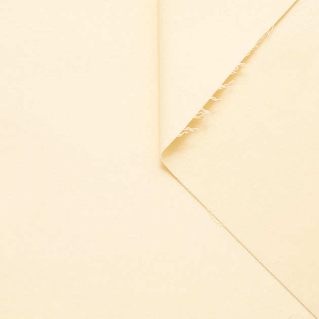 t20a00184 | Moleskine de Coton