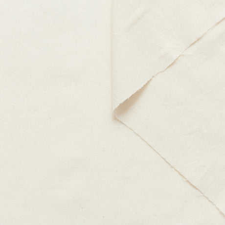 t20a00193 | Toile Tailleur en Coton Lavé