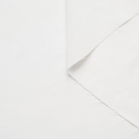 T20A00195 | Dry Ramie And Viscose Fluid Canvas