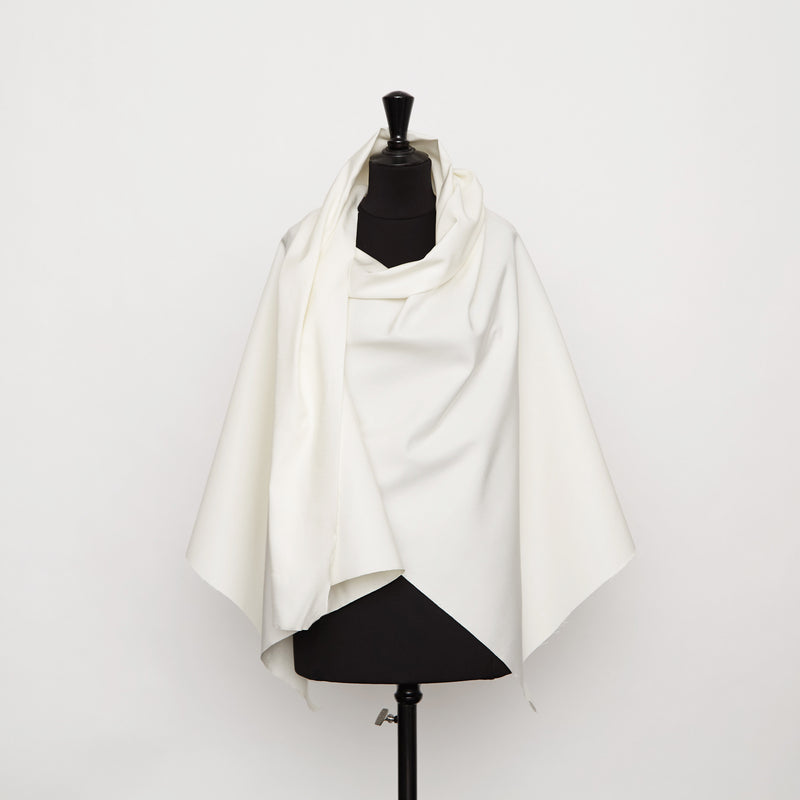 t20a00233 | Faille Radzimir