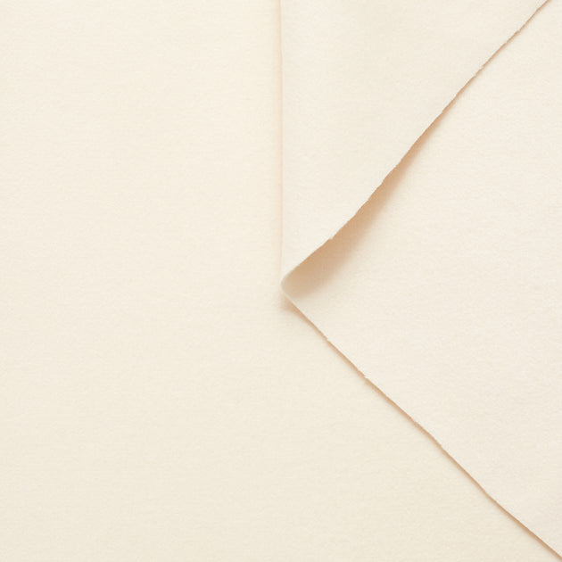 T20A00234 | Double Face Wool And Cashmere Felt
