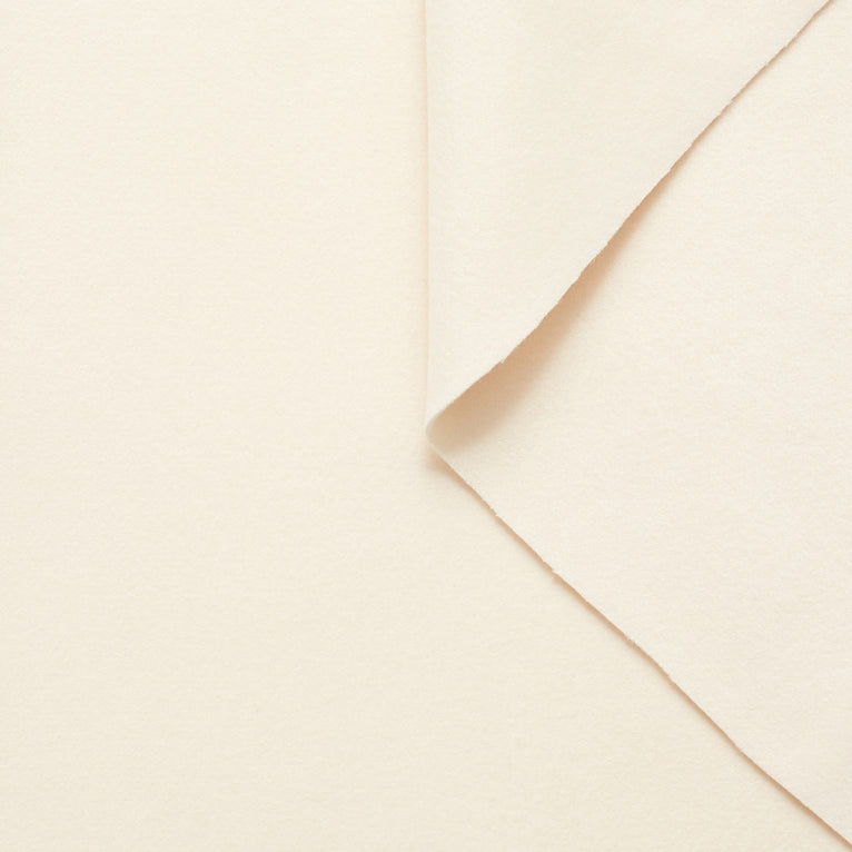 T20A00234 | Double Face Wool And Cashmere Felt - view 19
